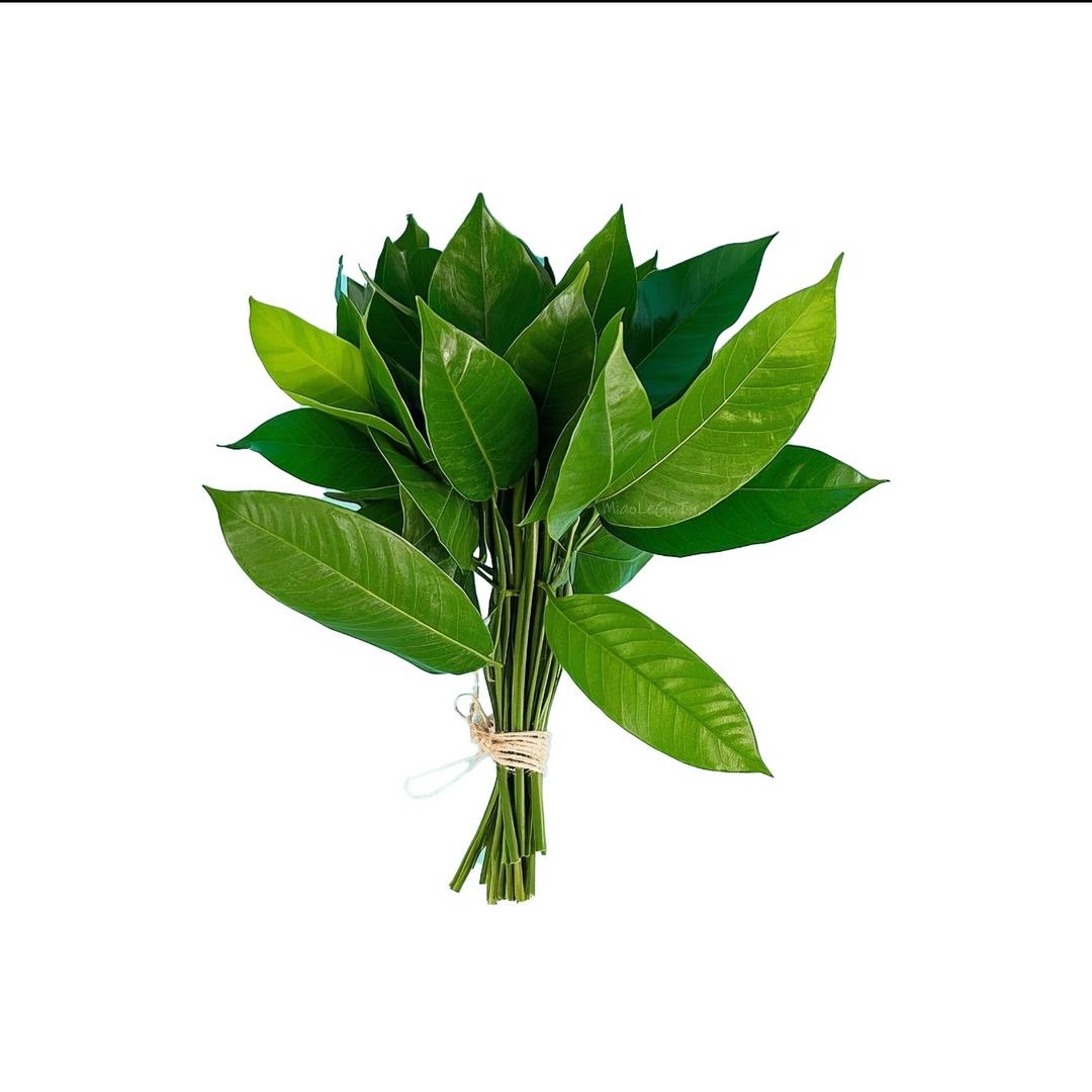 Xx-