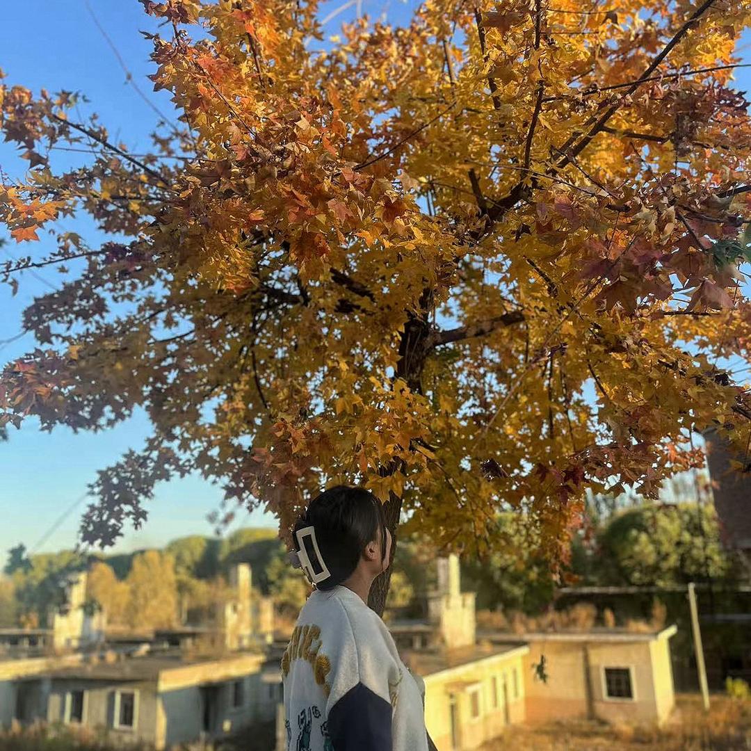 大慧慧🧚‍♀️