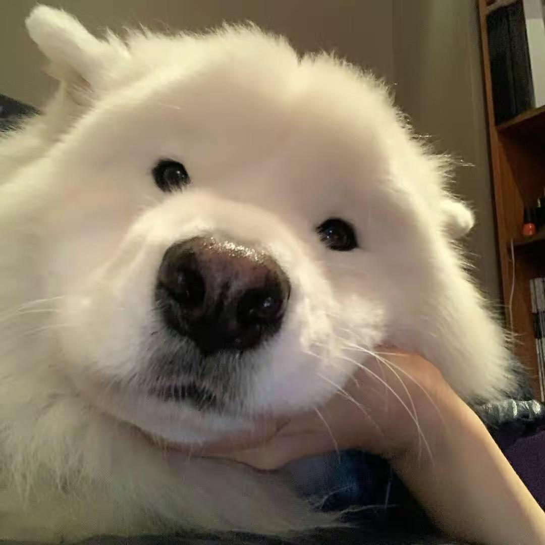 正正