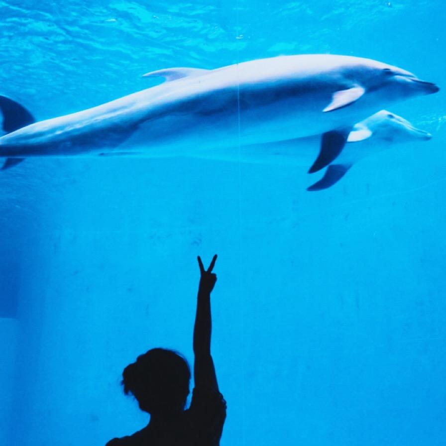 元宝宝♥️多多（努力中）