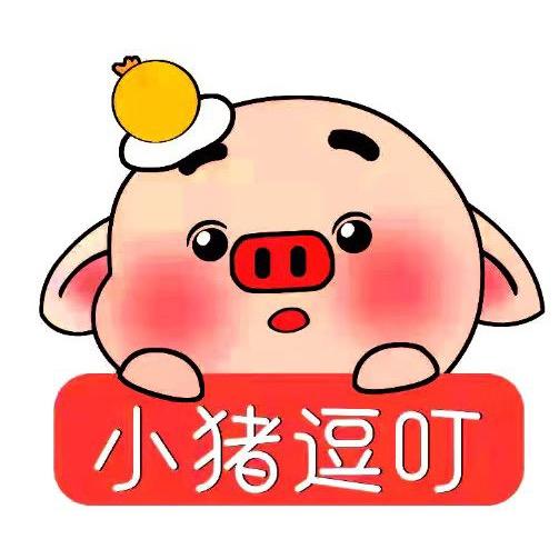小猪逗叮童装