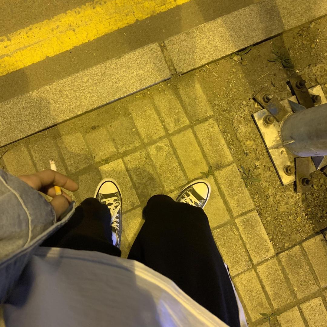 只会煮萝卜