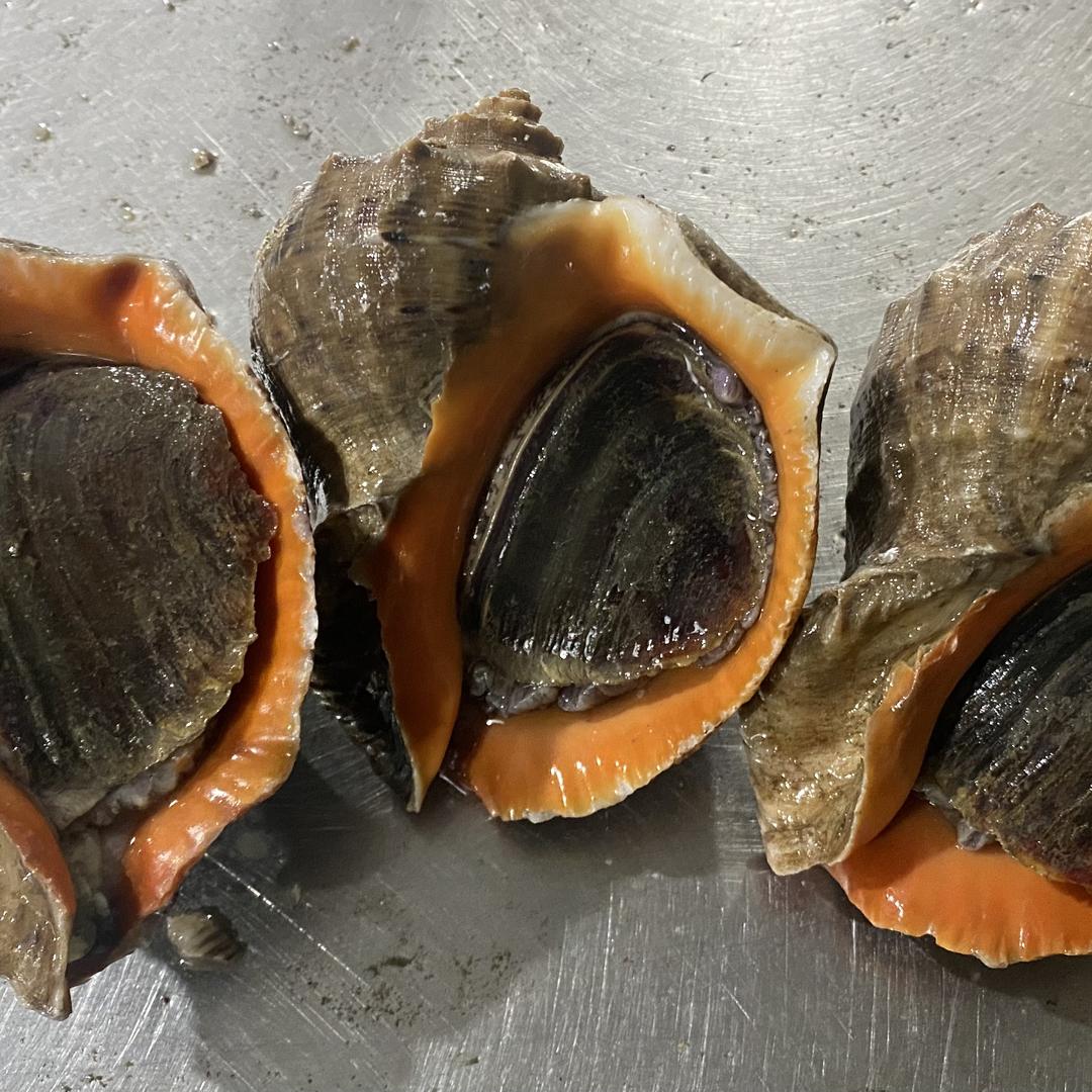 东港老彭水产海鲜商贸