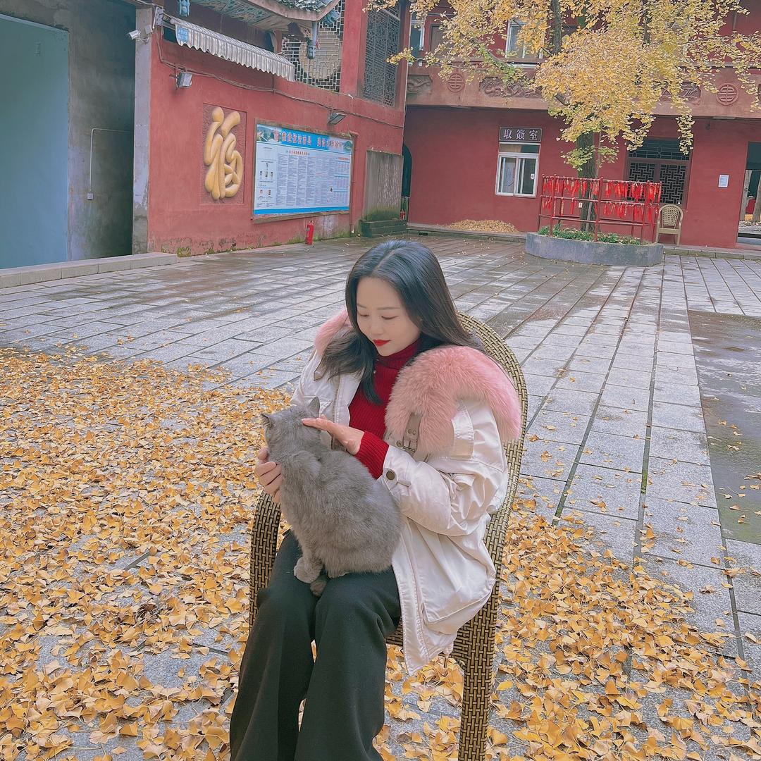 🌾琳琳琳🌾