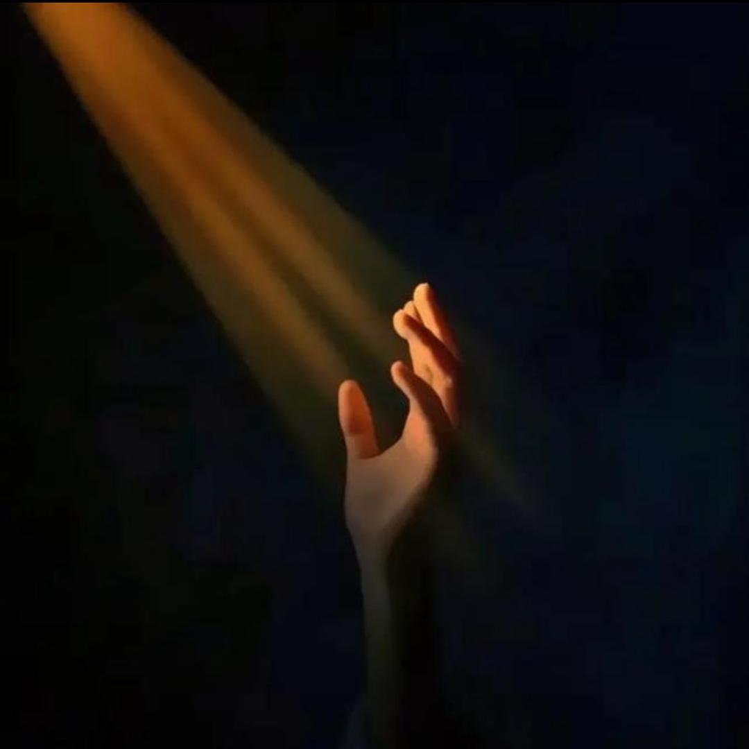 嘿嘿 嘿