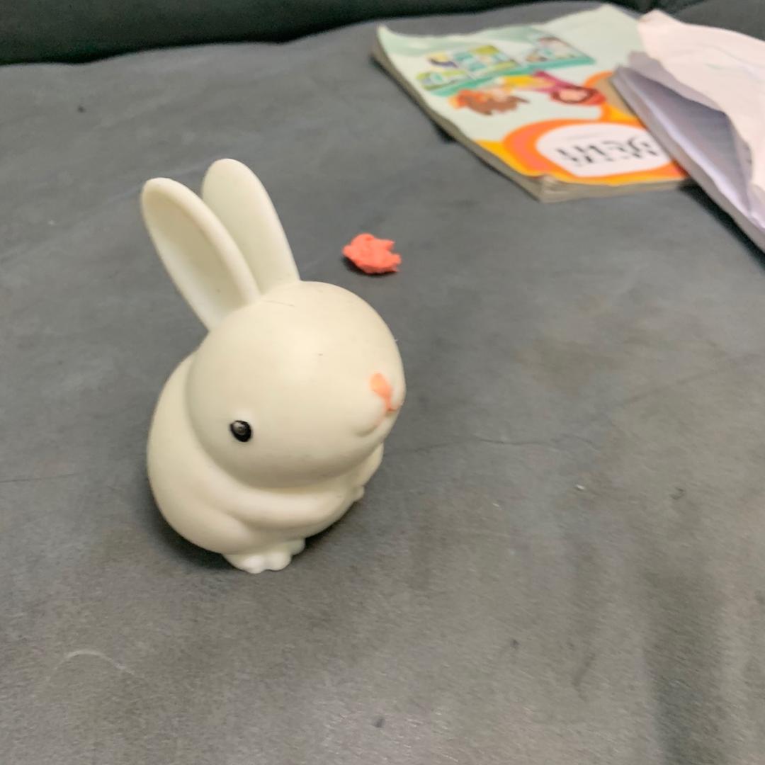 朋弟