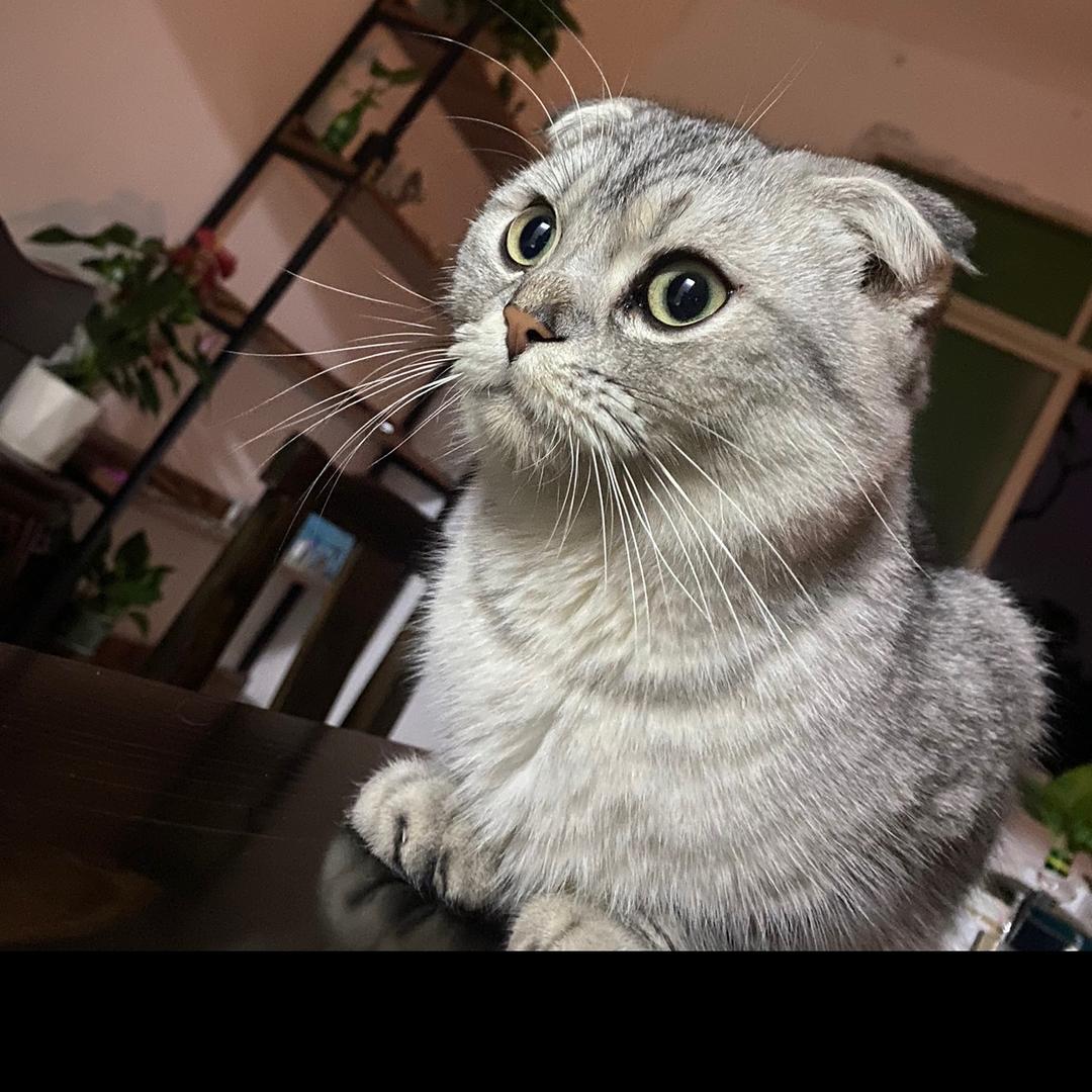 你好你好👋