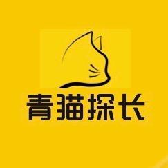 青猫探长