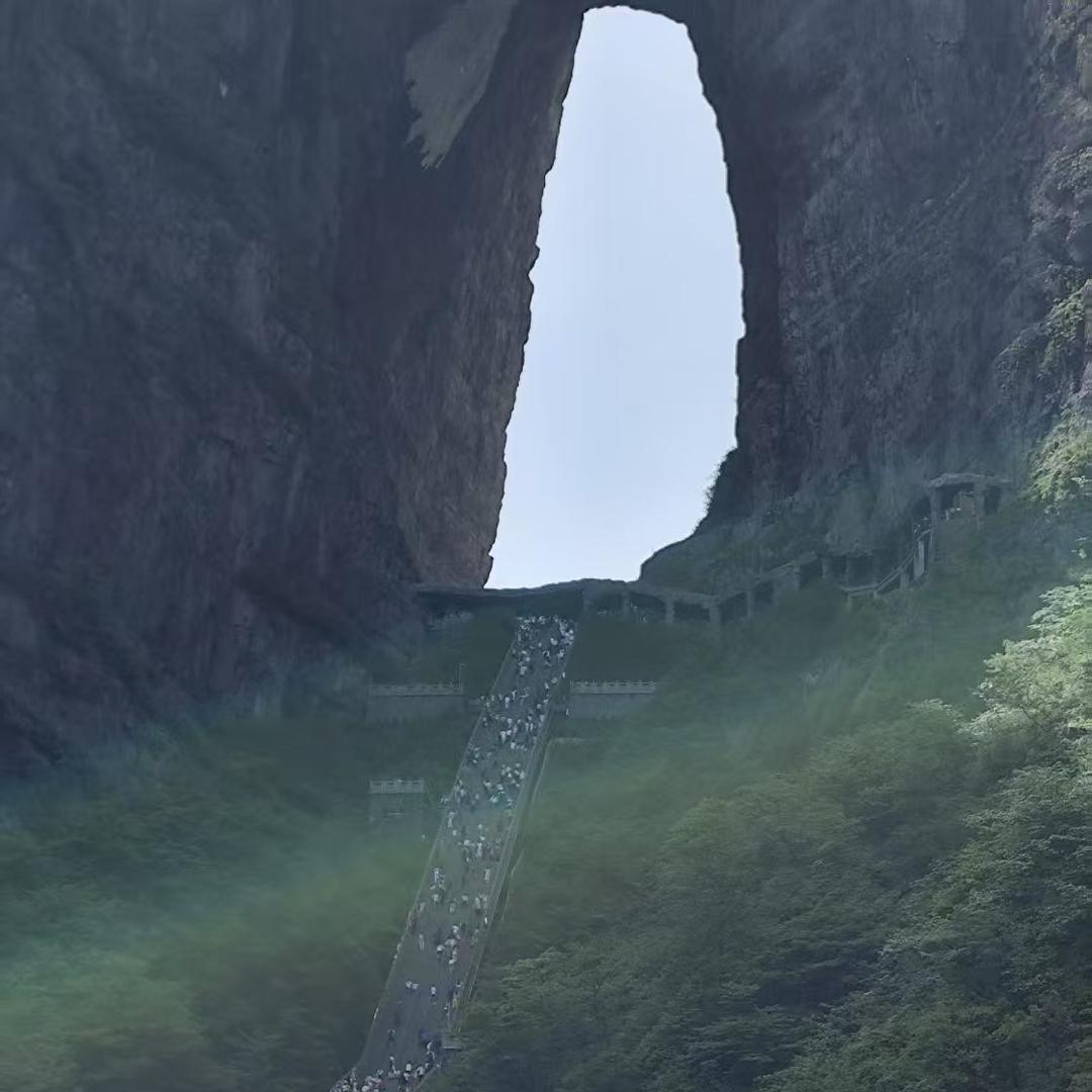阿曼达Vs
