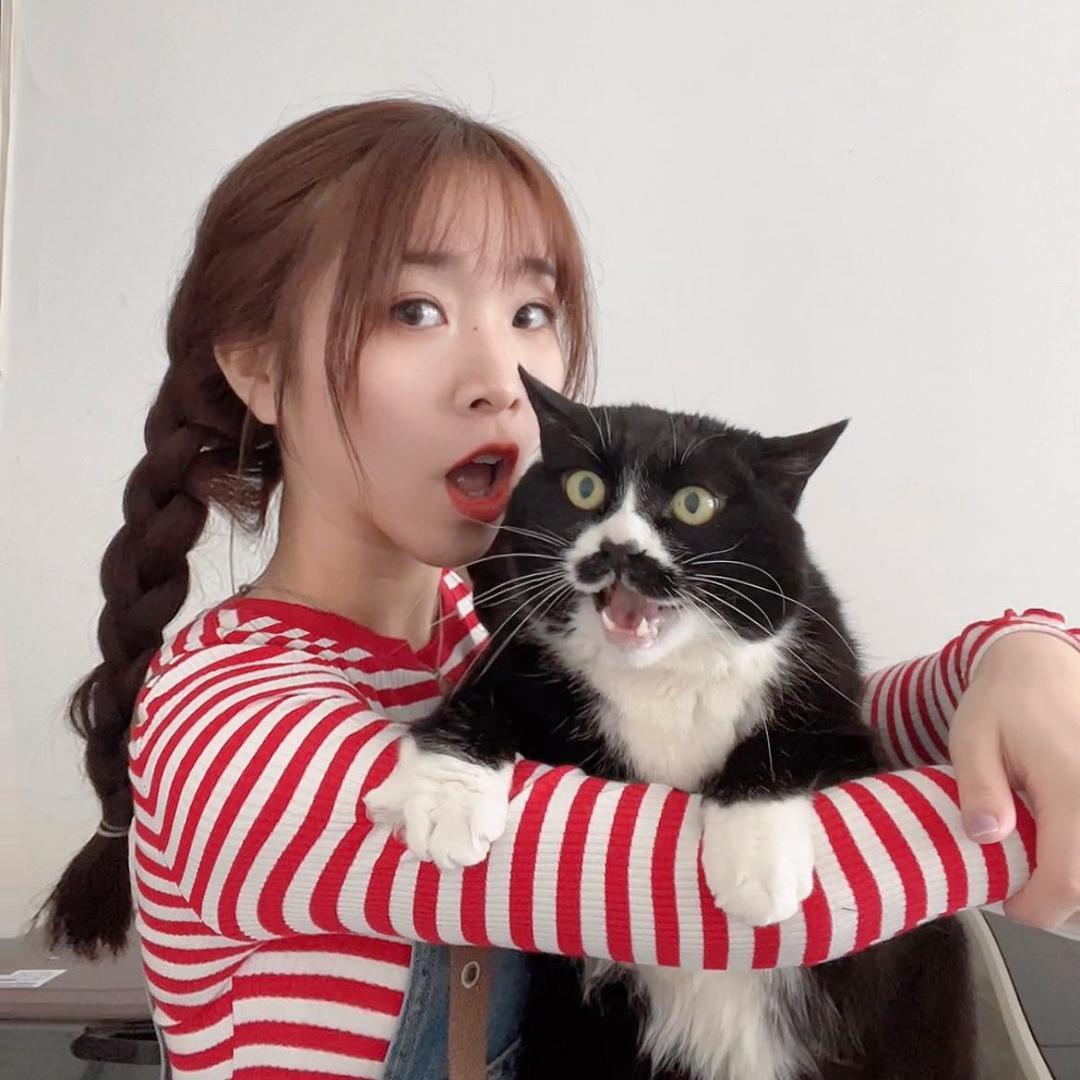 十三岁的杰克喵