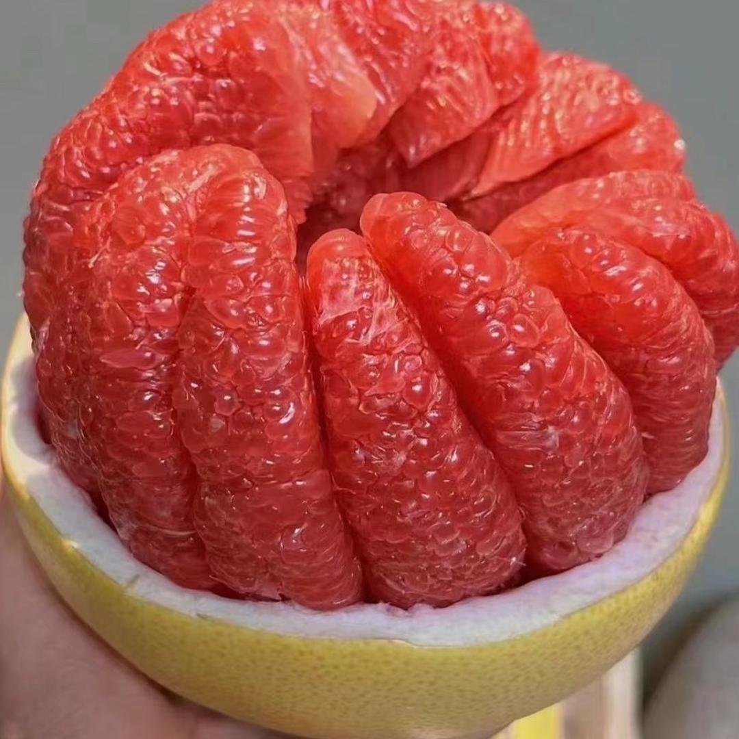 森动力