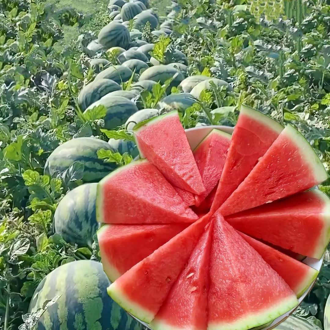 鹏程优选