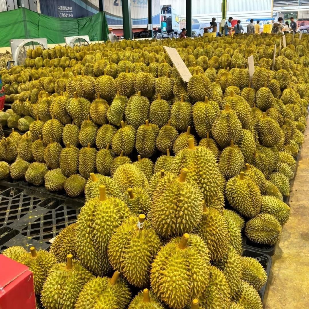 榴莲大吃货