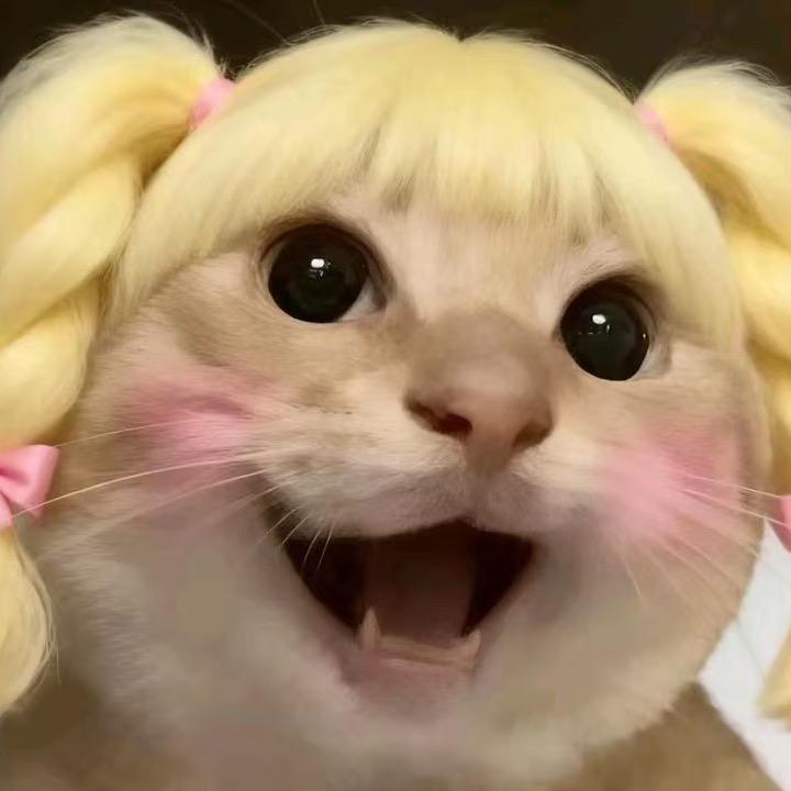 哈基咪精选优品