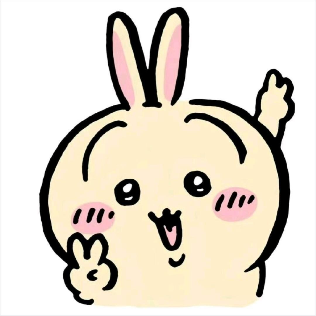 小饭团QvQ