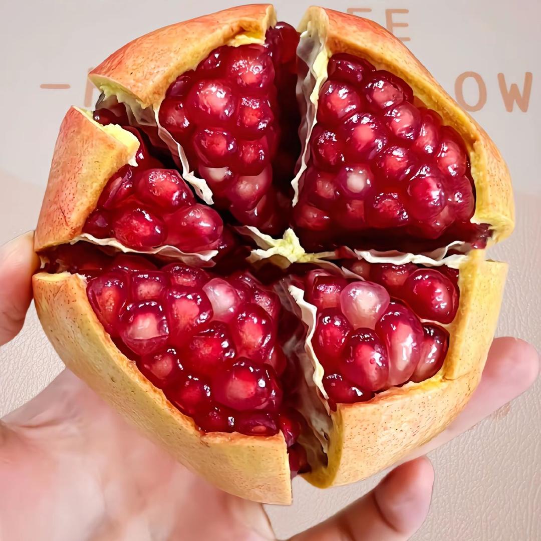 石榴小洪