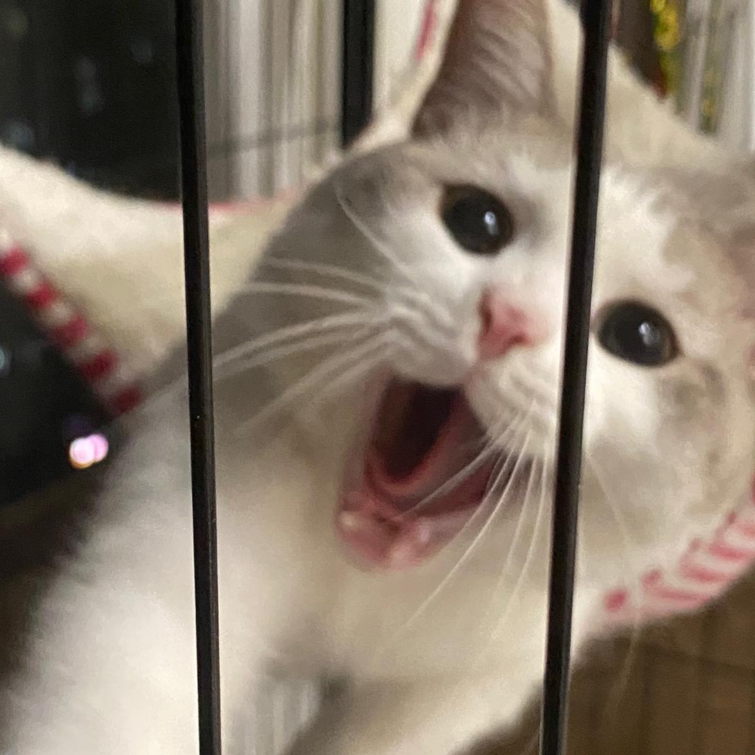 三木