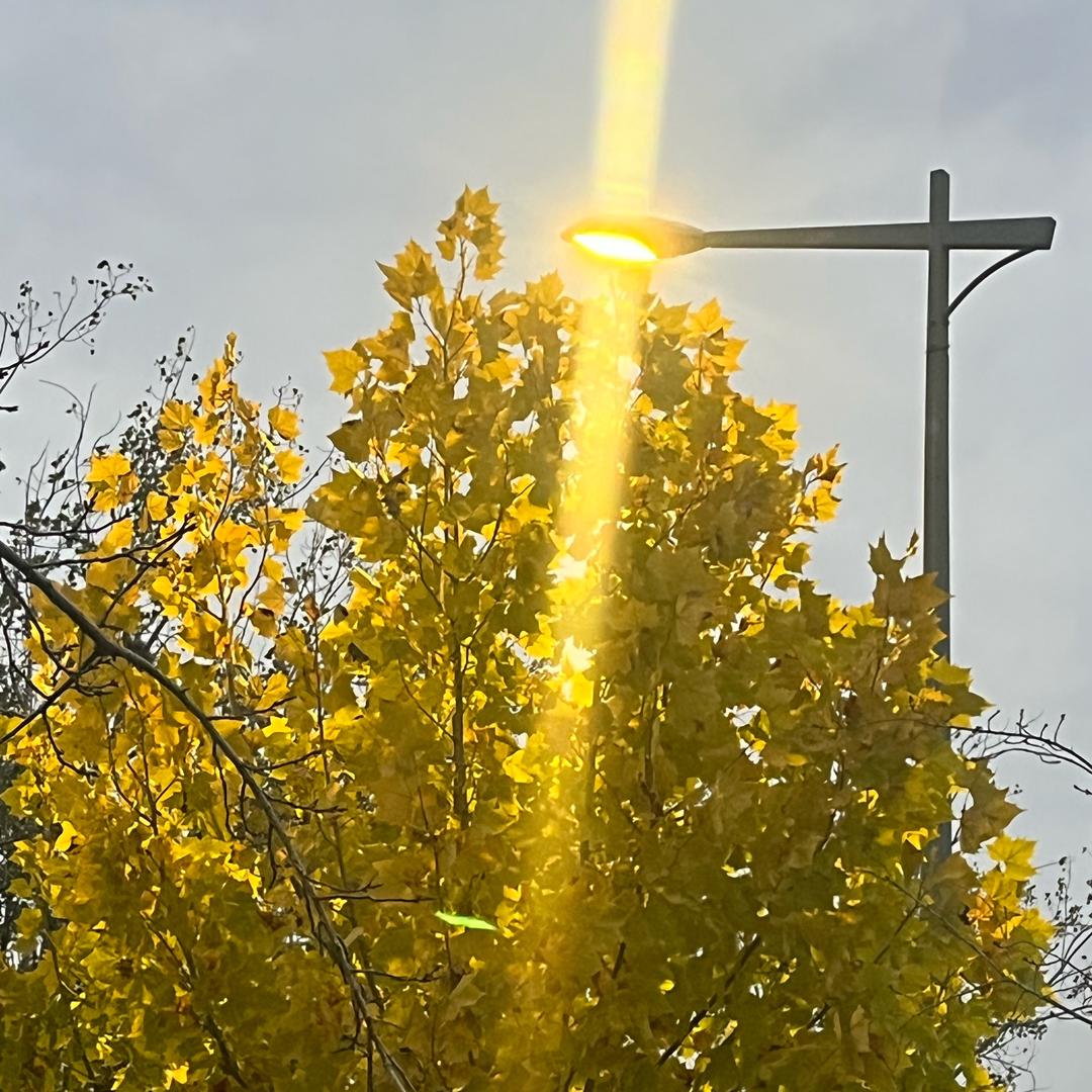 往后余生，各自安好