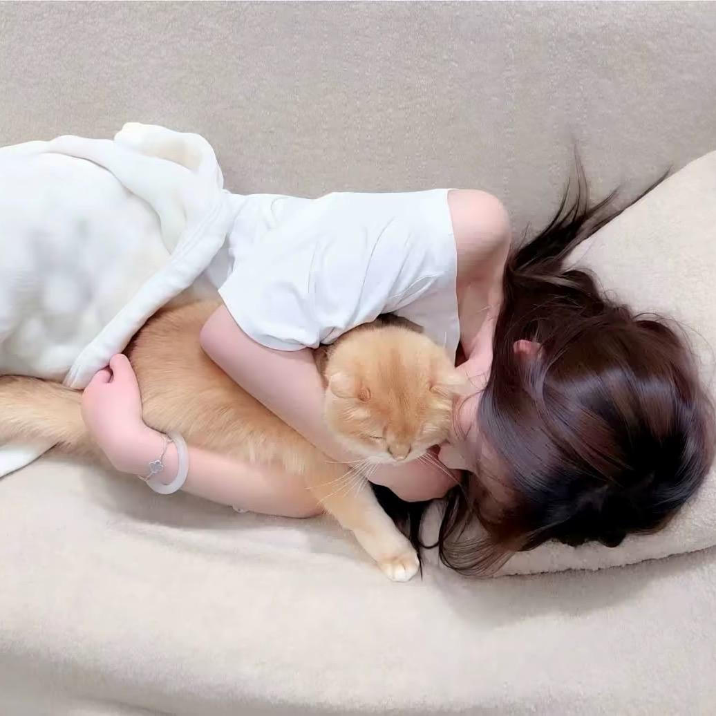 舒