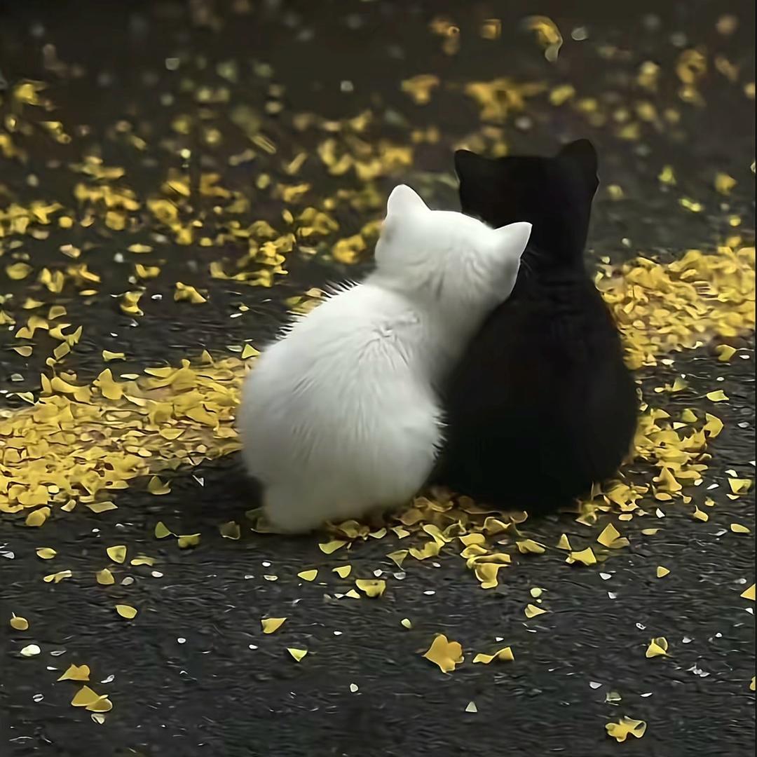🌚
