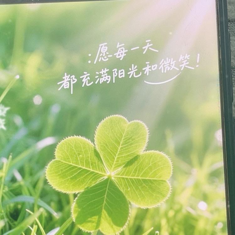 四叶草