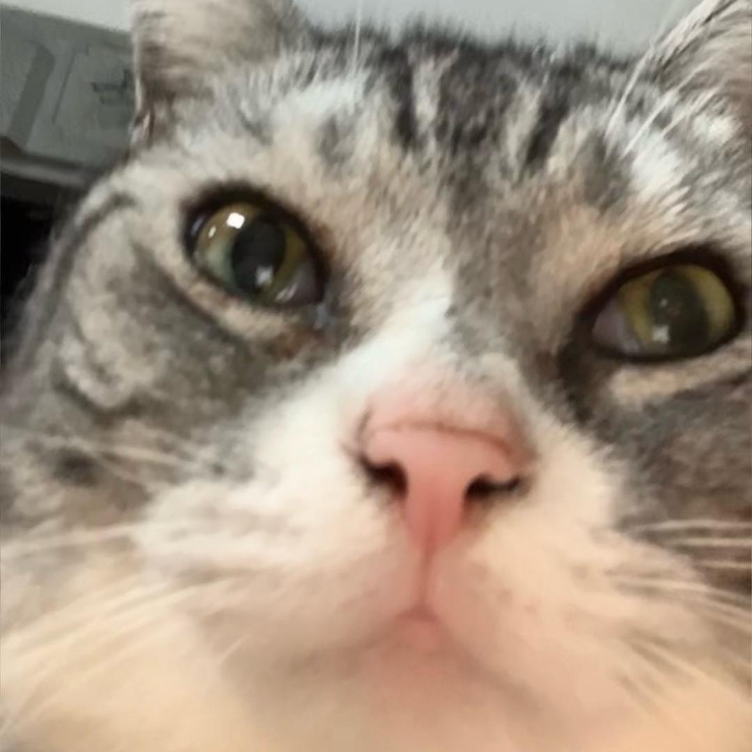 别管、我会发财