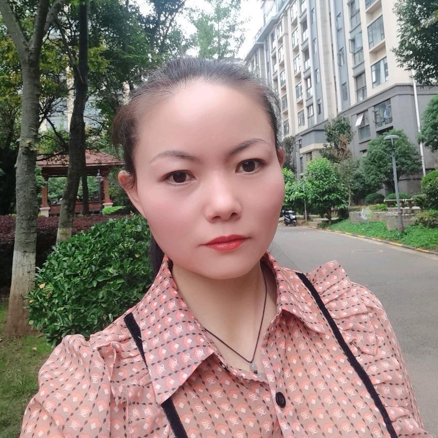 燕子启航