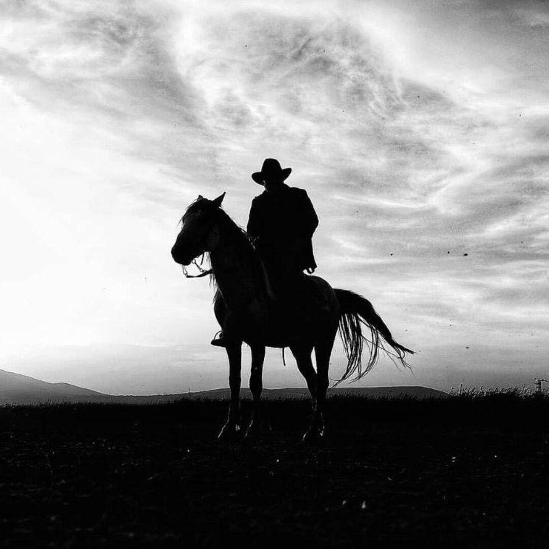 狗嘚一样的男人