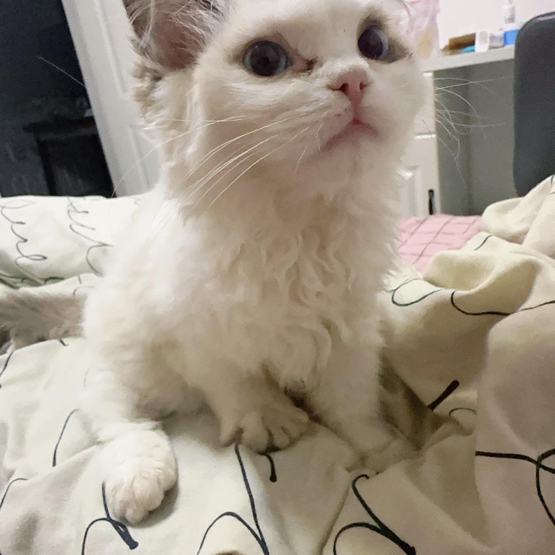 忧伤