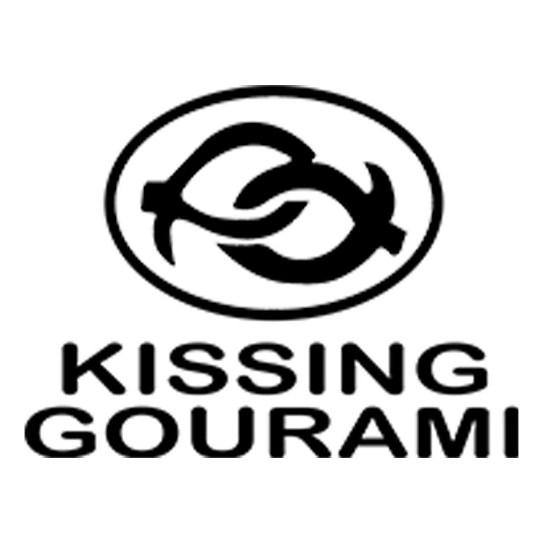 KISSINGGOURAMI赫臣游泳专卖店