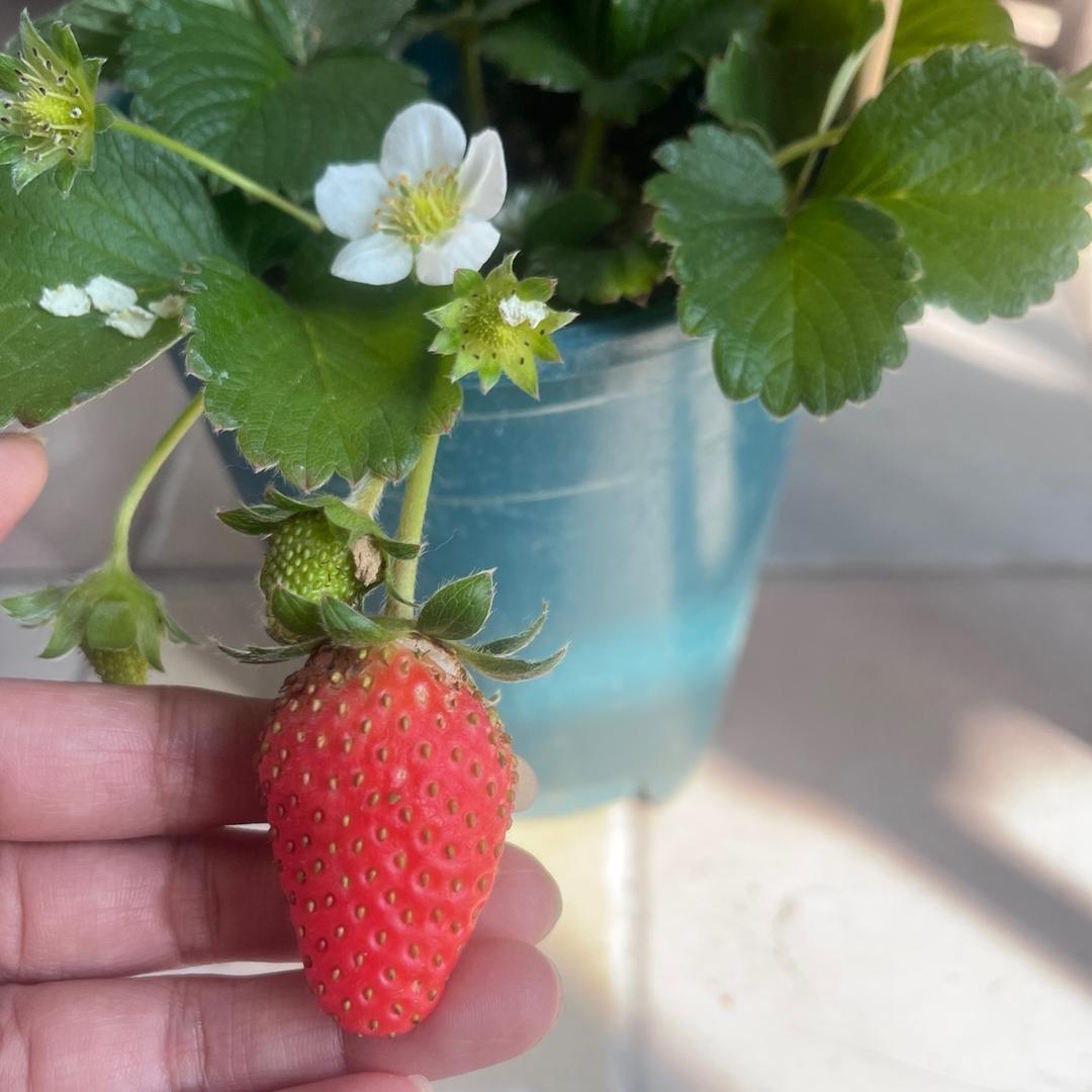 一切皆有可能！！