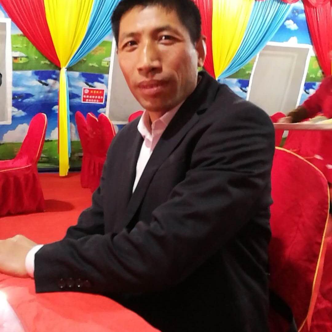 自由自在