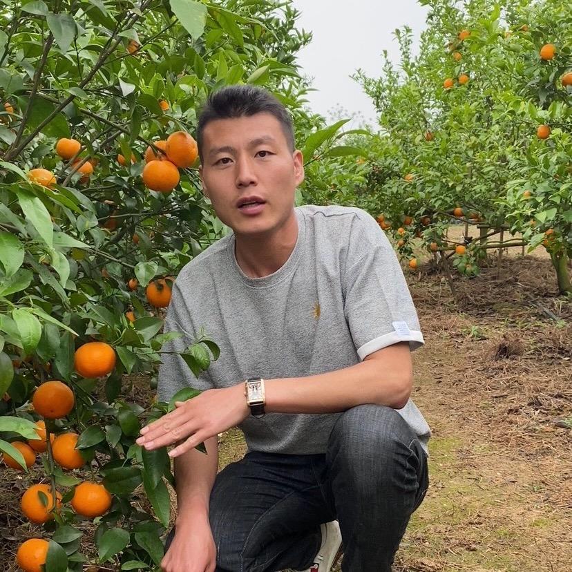 晓峰在产地