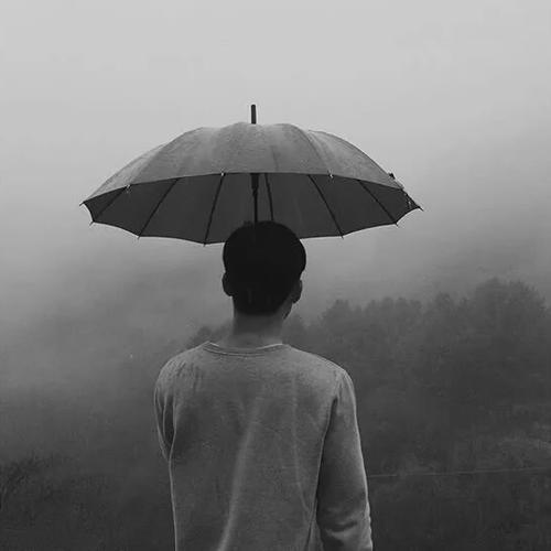 明哥归来