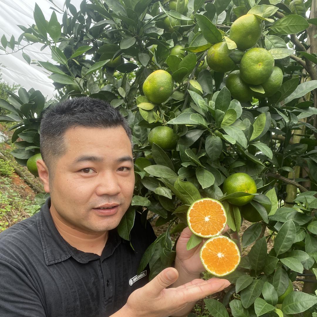 铭骏达农业