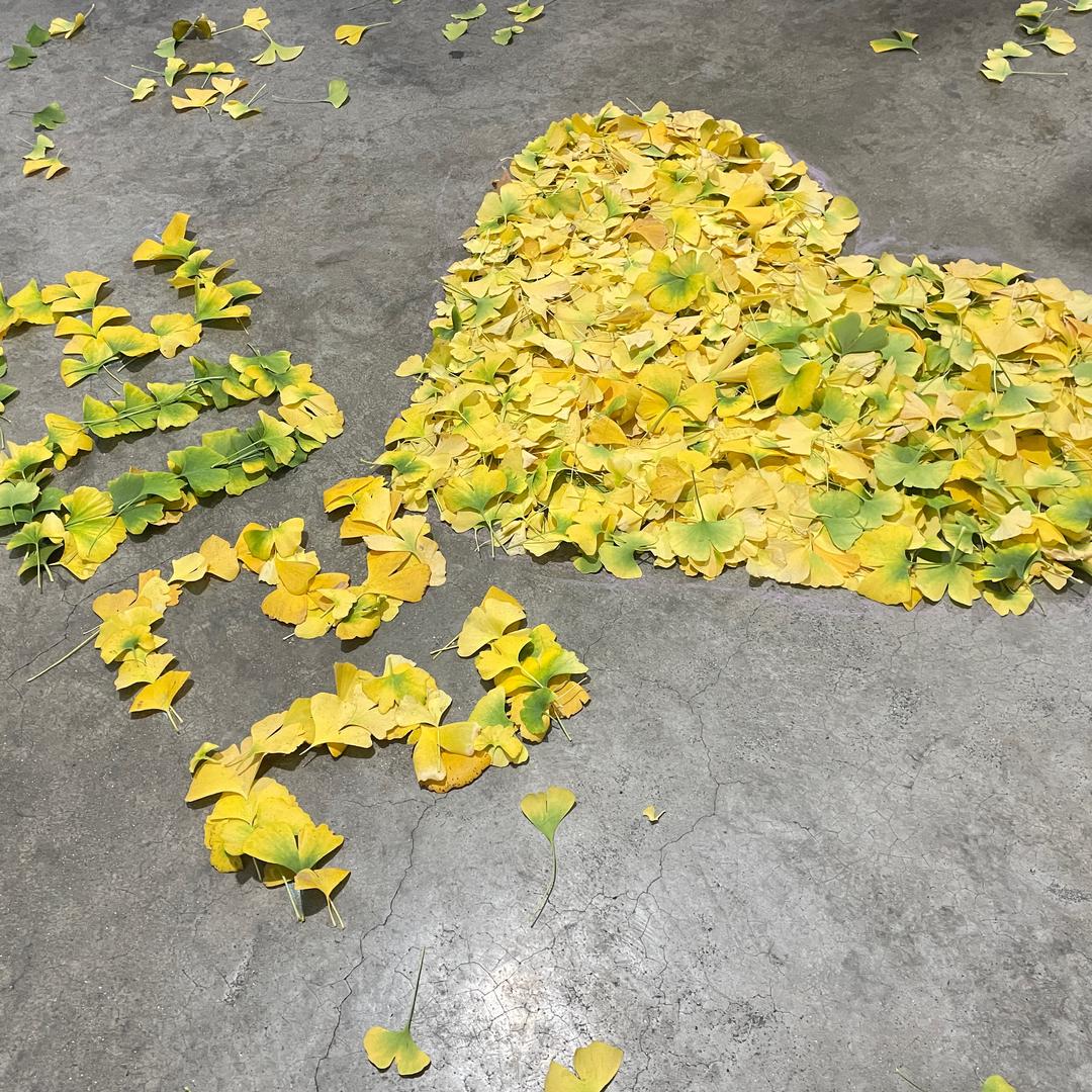 小学语文数学资料