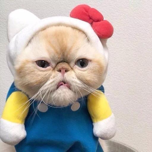 戚宝奶奶