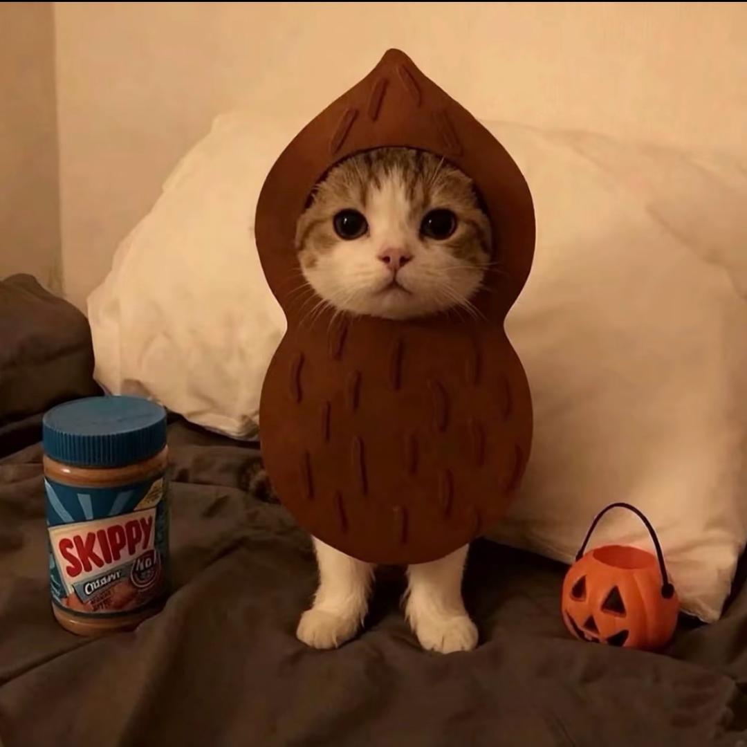 咋滴你也叫蛋蛋