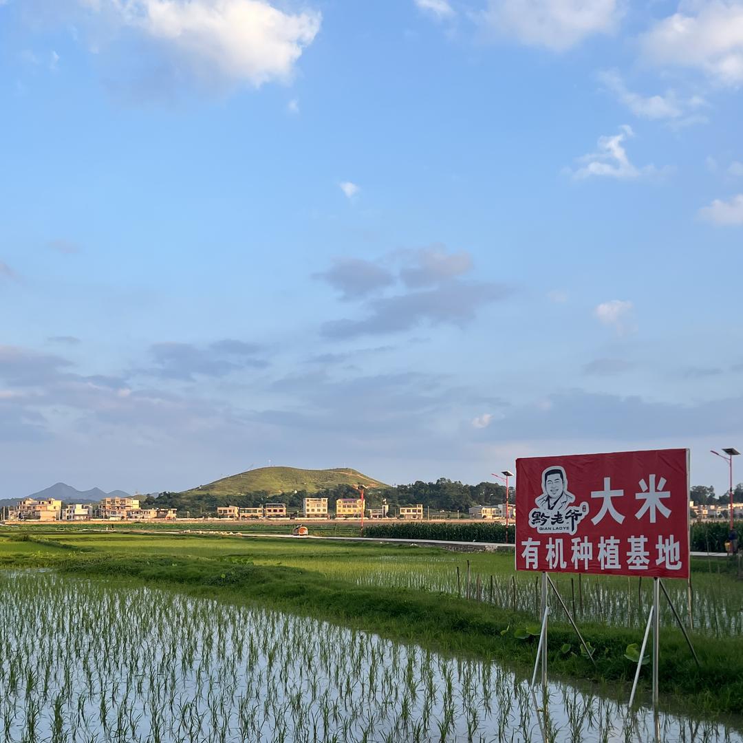 大宽小宽农产品