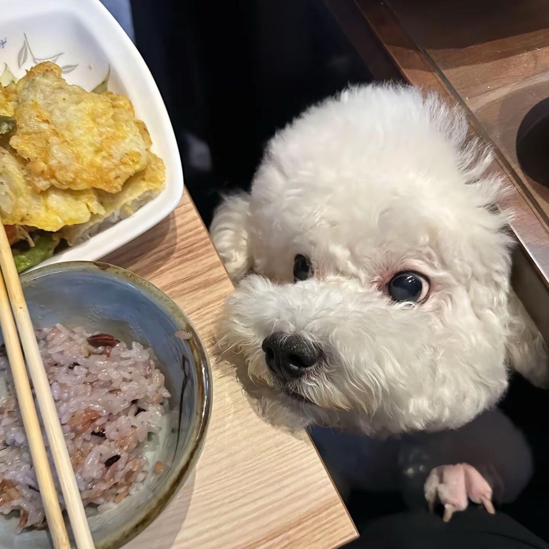 嘴巴香（被世勋已读9次