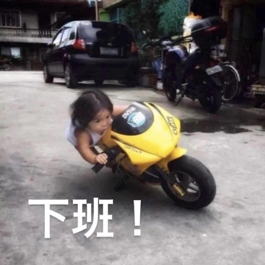 贝壳贝贝