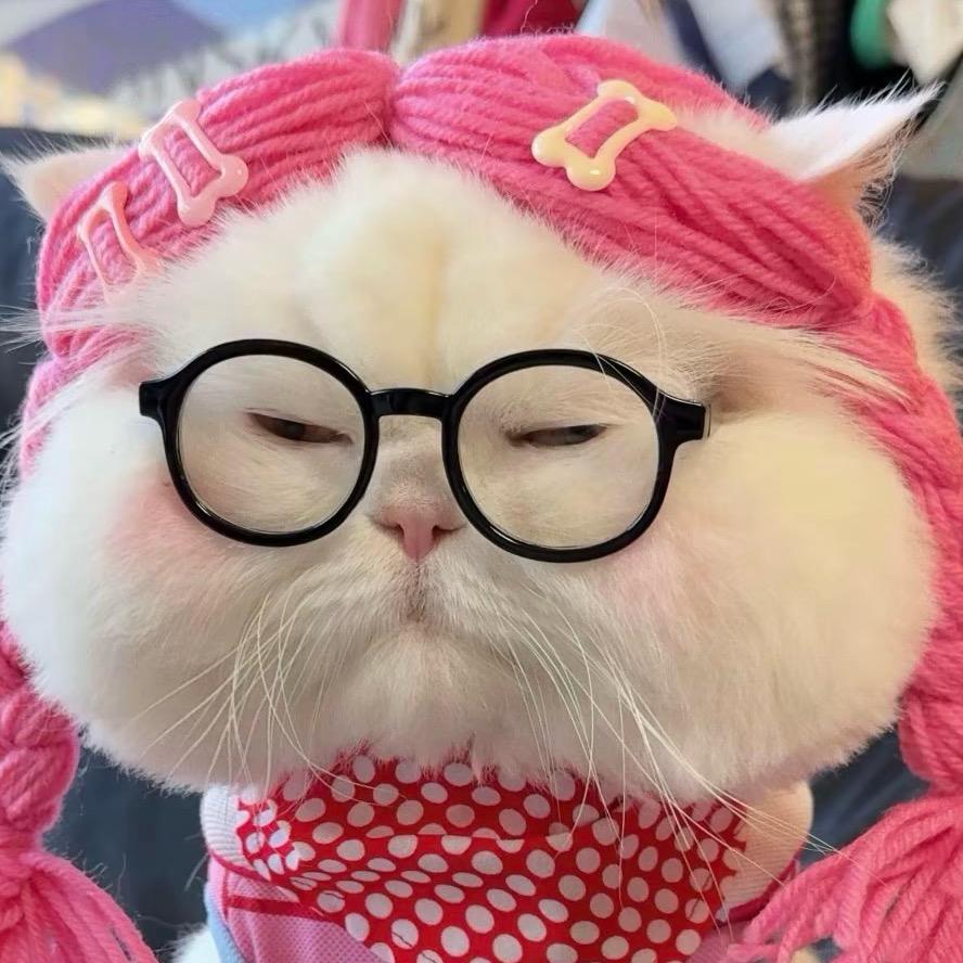 莉沙