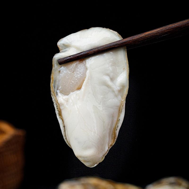 蚝言蚝语海鲜小铺生蚝季