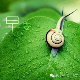 无呢称
