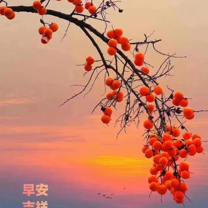 💘ℒᎭℯ⃝魅力ꫛ 日照⁵²º᭄