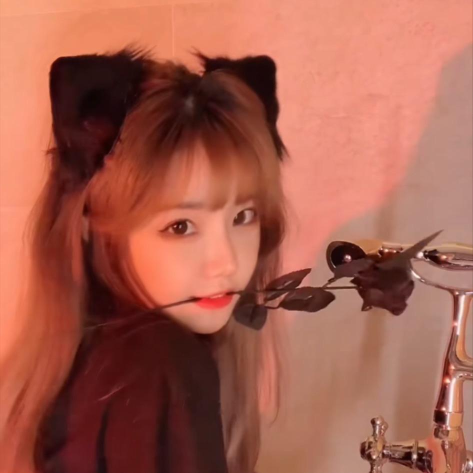 相扑猫💦@抖音