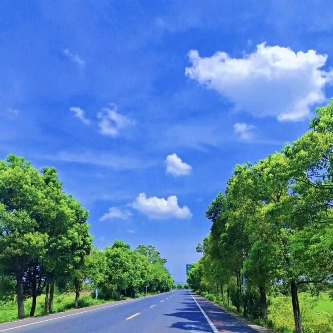 平安是福(7.9)