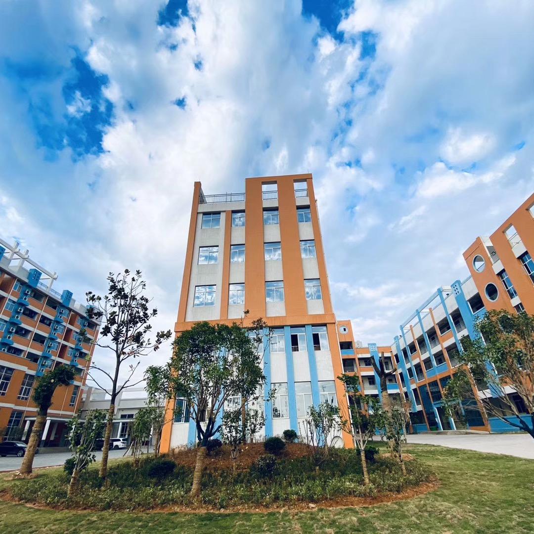 聚龙学校