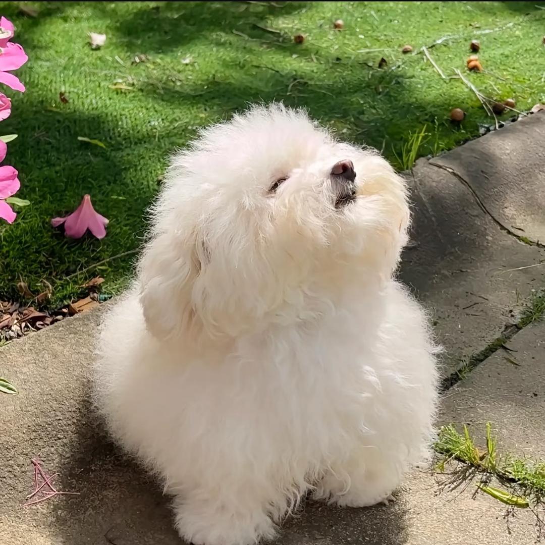 ✨李想主义