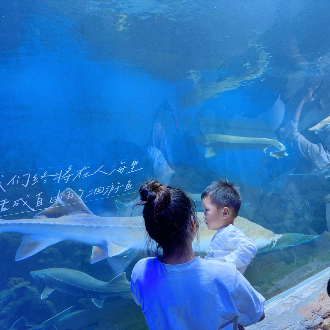 工商一食堂二楼滑蛋饭